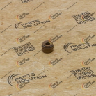 Колпачок маслосъемный двигателя YC6J245-30 Golden Dragon XML6102 YUCHAI